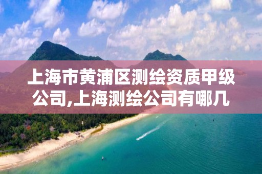 上海市黄浦区测绘资质甲级公司,上海测绘公司有哪几家 上海市黄浦区测绘资质甲级公司,上海测绘公司有哪几家