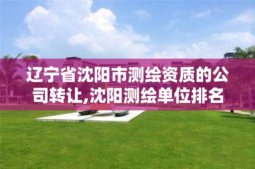 辽宁省沈阳市测绘资质的公司转让,沈阳测绘单位排名