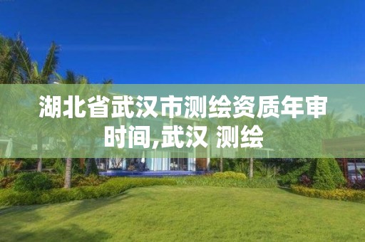 湖北省武汉市测绘资质年审时间,武汉 测绘