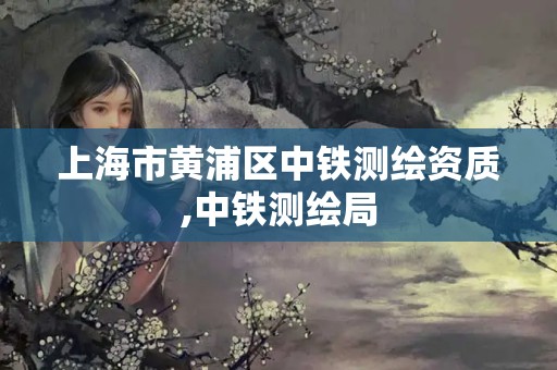 上海市黄浦区中铁测绘资质,中铁测绘局