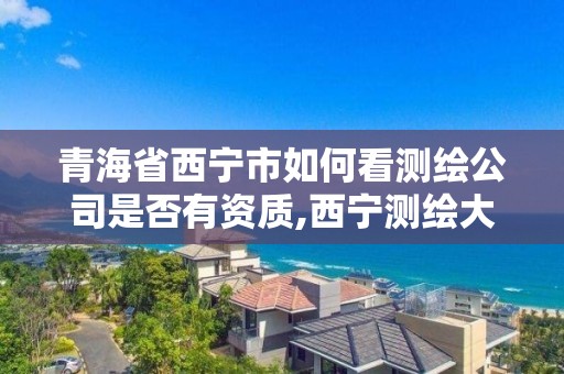 青海省西宁市如何看测绘公司是否有资质,西宁测绘大厦在哪儿。