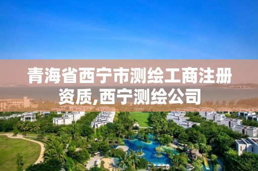 青海省西宁市测绘工商注册资质,西宁测绘公司