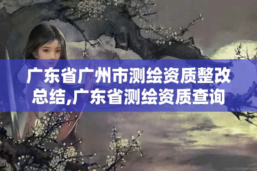 广东省广州市测绘资质整改总结,广东省测绘资质查询
