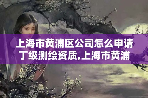 上海市黄浦区公司怎么申请丁级测绘资质,上海市黄浦区测绘中心