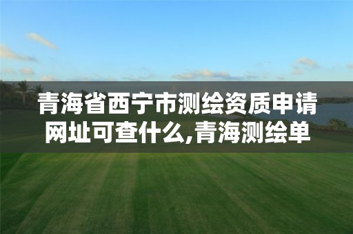 青海省西宁市测绘资质申请网址可查什么,青海测绘单位