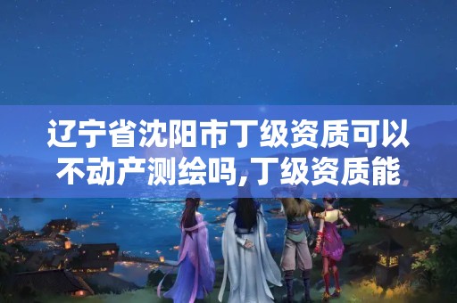 辽宁省沈阳市丁级资质可以不动产测绘吗,丁级资质能测多大面积的房产。