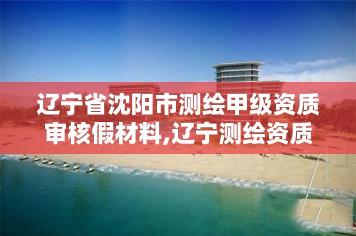 辽宁省沈阳市测绘甲级资质审核假材料,辽宁测绘资质查询