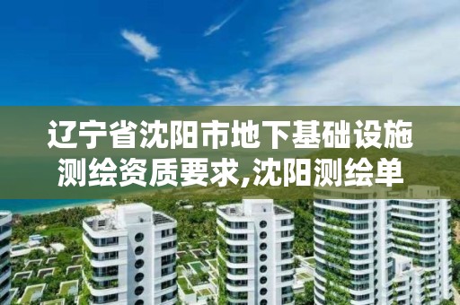 辽宁省沈阳市地下基础设施测绘资质要求,沈阳测绘单位排名。