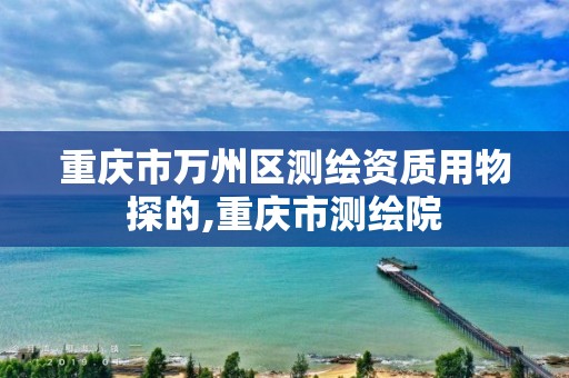重庆市万州区测绘资质用物探的,重庆市测绘院
