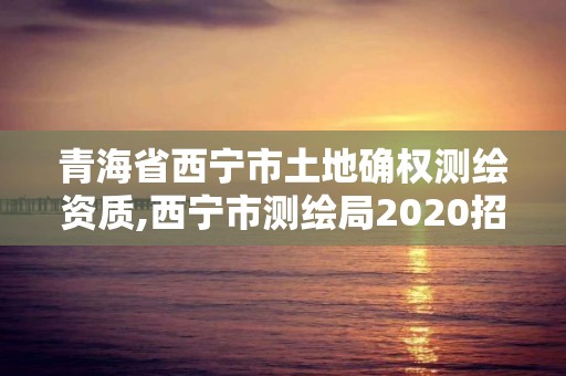 青海省西宁市土地确权测绘资质,西宁市测绘局2020招聘