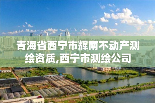 青海省西宁市辉南不动产测绘资质,西宁市测绘公司
