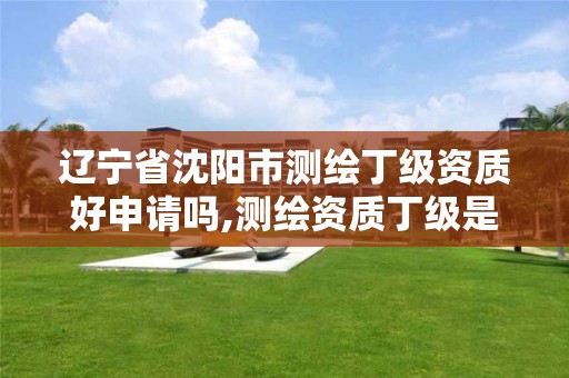 辽宁省沈阳市测绘丁级资质好申请吗,测绘资质丁级是什么意思