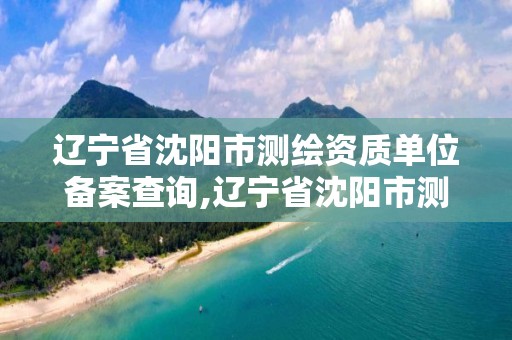 辽宁省沈阳市测绘资质单位备案查询,辽宁省沈阳市测绘资质单位备案查询