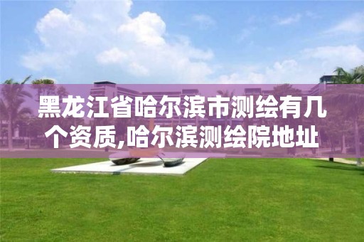 黑龙江省哈尔滨市测绘有几个资质,哈尔滨测绘院地址 黑龙江省哈尔滨市测绘有几个资质,哈尔滨测绘院地址