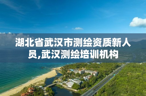 湖北省武汉市测绘资质新人员,武汉测绘培训机构