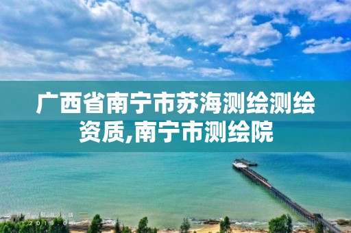 广西省南宁市苏海测绘测绘资质,南宁市测绘院