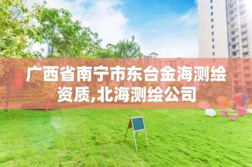 广西省南宁市东台金海测绘资质,北海测绘公司