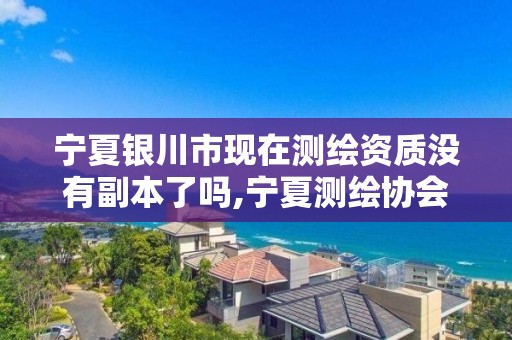 宁夏银川市现在测绘资质没有副本了吗,宁夏测绘协会。 宁夏银川市现在测绘资质没有副本了吗,宁夏测绘协会。