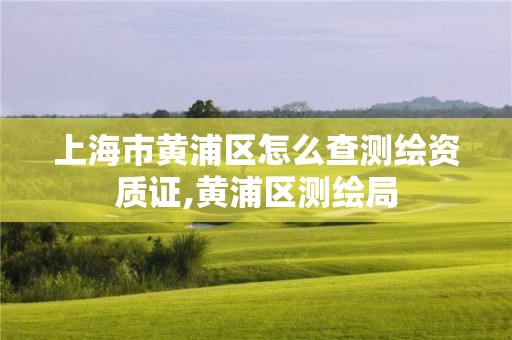 上海市黄浦区怎么查测绘资质证,黄浦区测绘局