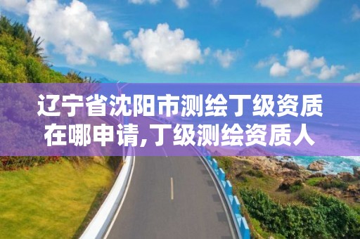 辽宁省沈阳市测绘丁级资质在哪申请,丁级测绘资质人员要求