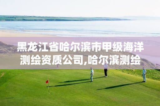 黑龙江省哈尔滨市甲级海洋测绘资质公司,哈尔滨测绘勘察研究院怎么样