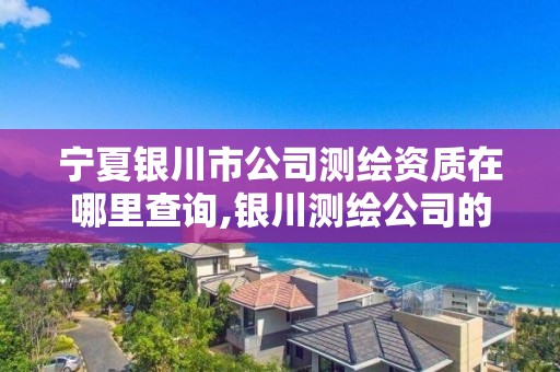 宁夏银川市公司测绘资质在哪里查询,银川测绘公司的联系方式。