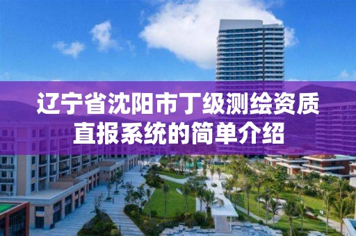 辽宁省沈阳市丁级测绘资质直报系统的简单介绍