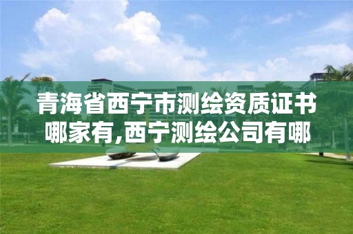青海省西宁市测绘资质证书哪家有,西宁测绘公司有哪些。