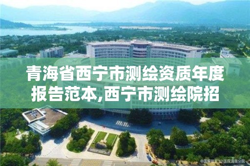 青海省西宁市测绘资质年度报告范本,西宁市测绘院招聘公示