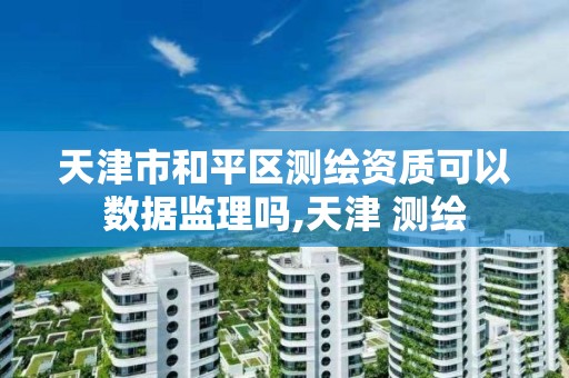 天津市和平区测绘资质可以数据监理吗,天津 测绘