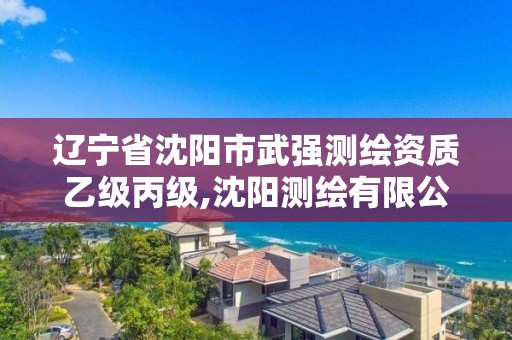 辽宁省沈阳市武强测绘资质乙级丙级,沈阳测绘有限公司