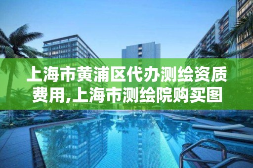 上海市黄浦区代办测绘资质费用,上海市测绘院购买图纸