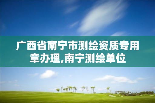 广西省南宁市测绘资质专用章办理,南宁测绘单位 广西省南宁市测绘资质专用章办理,南宁测绘单位