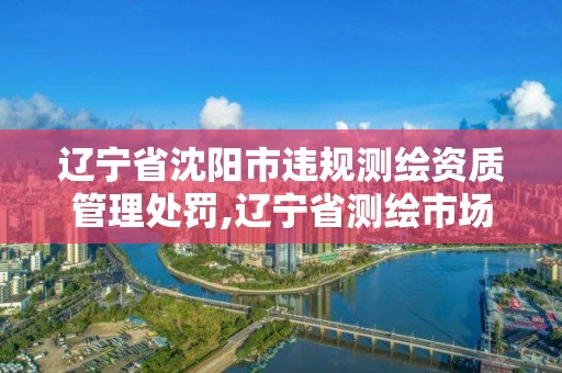 辽宁省沈阳市违规测绘资质管理处罚,辽宁省测绘市场管理办法