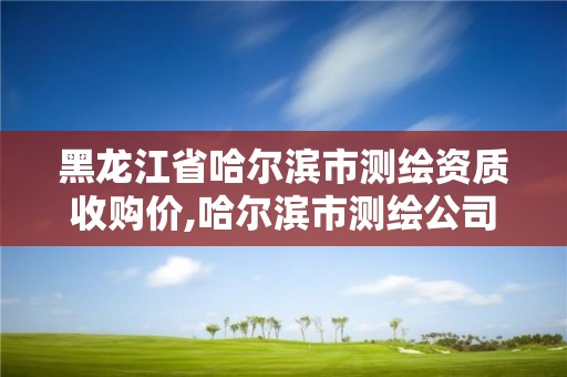 黑龙江省哈尔滨市测绘资质收购价,哈尔滨市测绘公司 黑龙江省哈尔滨市测绘资质收购价,哈尔滨市测绘公司