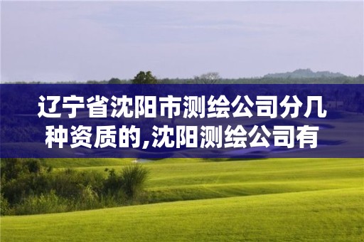 辽宁省沈阳市测绘公司分几种资质的,沈阳测绘公司有哪些。