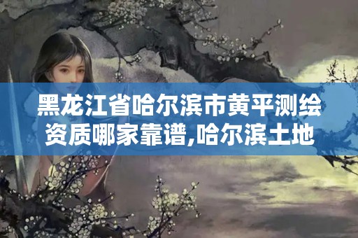 黑龙江省哈尔滨市黄平测绘资质哪家靠谱,哈尔滨土地测绘公司。