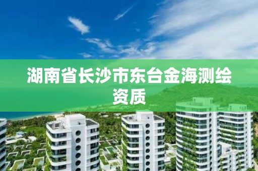 湖南省长沙市东台金海测绘资质
