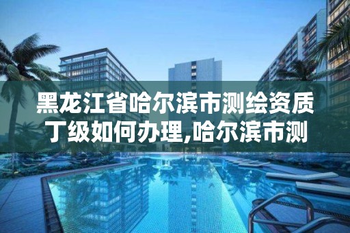黑龙江省哈尔滨市测绘资质丁级如何办理,哈尔滨市测绘院