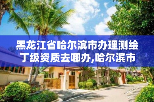 黑龙江省哈尔滨市办理测绘丁级资质去哪办,哈尔滨市测绘院。 黑龙江省哈尔滨市办理测绘丁级资质去哪办,哈尔滨市测绘院。