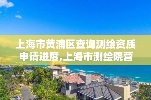 上海市黄浦区查询测绘资质申请进度,上海市测绘院营业时间