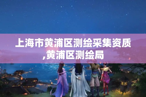 上海市黄浦区测绘采集资质,黄浦区测绘局