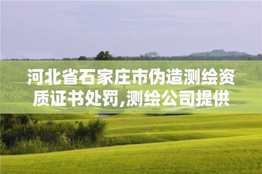 河北省石家庄市伪造测绘资质证书处罚,测绘公司提供虚假测绘报告