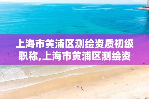 上海市黄浦区测绘资质初级职称,上海市黄浦区测绘资质初级职称查询