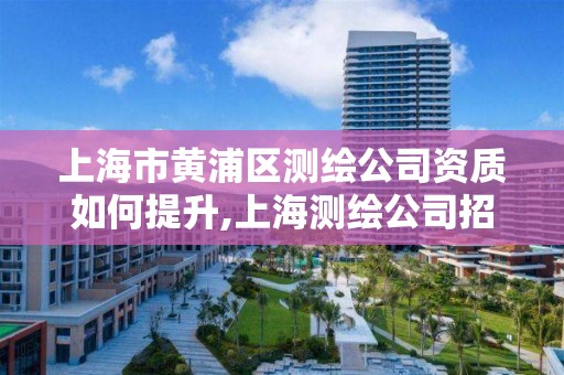 上海市黄浦区测绘公司资质如何提升,上海测绘公司招聘 上海市黄浦区测绘公司资质如何提升,上海测绘公司招聘