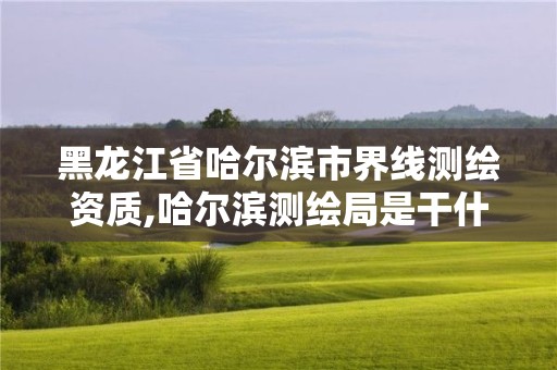黑龙江省哈尔滨市界线测绘资质,哈尔滨测绘局是干什么的