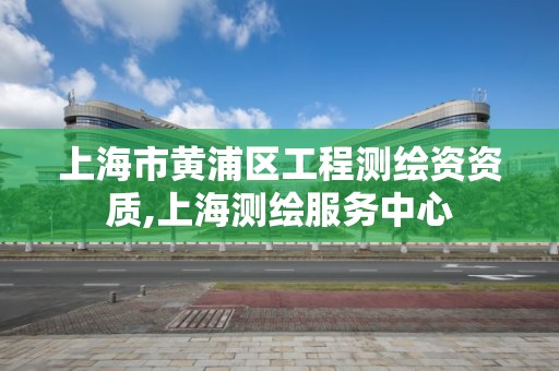 上海市黄浦区工程测绘资资质,上海测绘服务中心