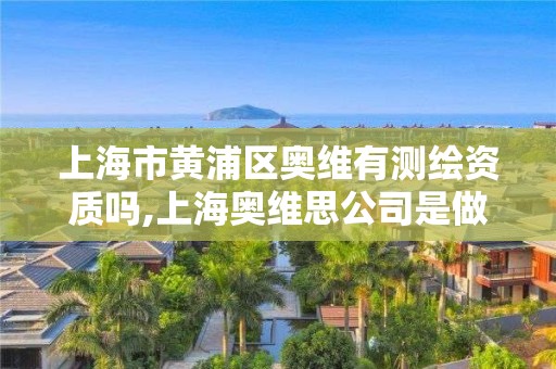 上海市黄浦区奥维有测绘资质吗,上海奥维思公司是做什么的