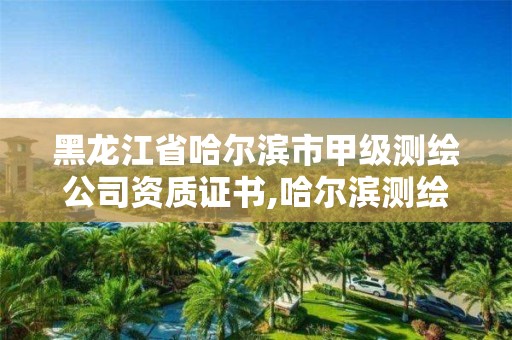 黑龙江省哈尔滨市甲级测绘公司资质证书,哈尔滨测绘公司有哪些。 黑龙江省哈尔滨市甲级测绘公司资质证书,哈尔滨测绘公司有哪些。