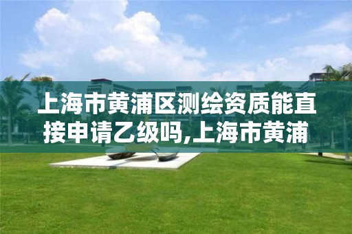 上海市黄浦区测绘资质能直接申请乙级吗,上海市黄浦区测绘资质能直接申请乙级吗知乎。
